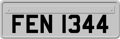 FEN1344