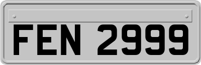 FEN2999