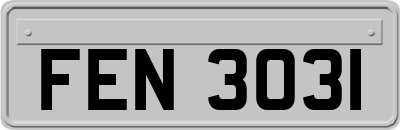 FEN3031