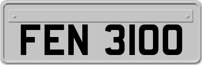 FEN3100