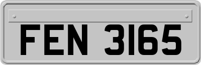 FEN3165
