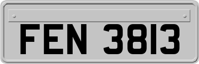 FEN3813
