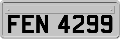 FEN4299