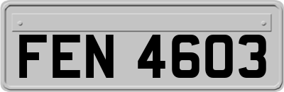 FEN4603