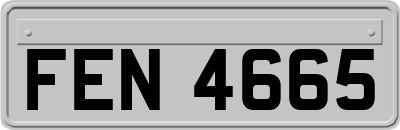 FEN4665