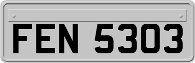 FEN5303