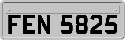 FEN5825