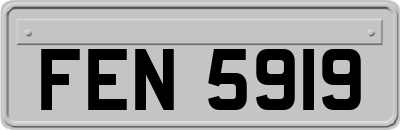 FEN5919