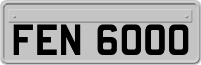 FEN6000