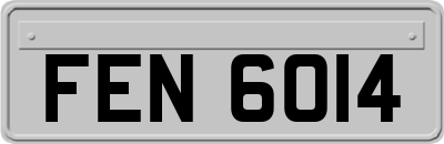 FEN6014