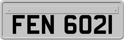 FEN6021