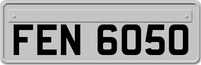 FEN6050