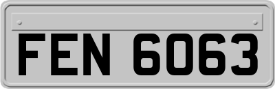 FEN6063