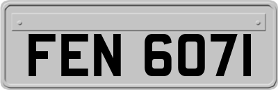 FEN6071