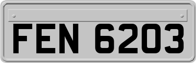 FEN6203