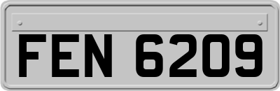 FEN6209