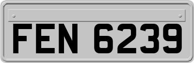 FEN6239
