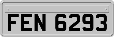 FEN6293