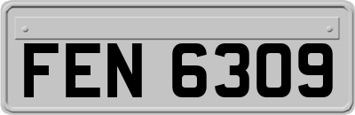 FEN6309