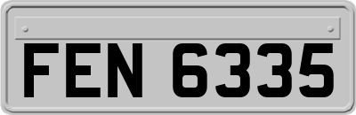 FEN6335