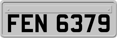 FEN6379