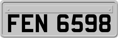 FEN6598