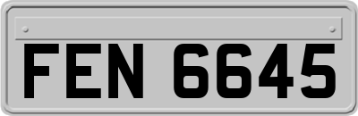 FEN6645