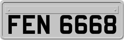 FEN6668