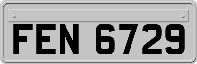 FEN6729