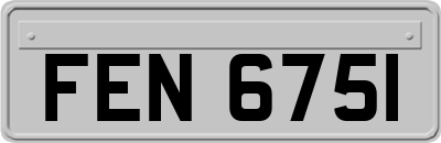 FEN6751