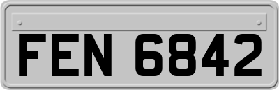 FEN6842