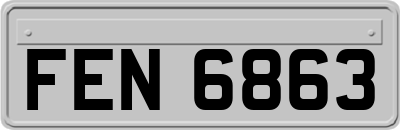 FEN6863