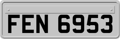 FEN6953