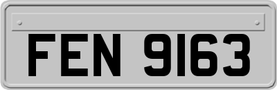 FEN9163