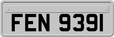 FEN9391