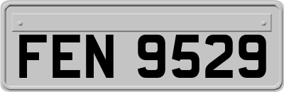 FEN9529