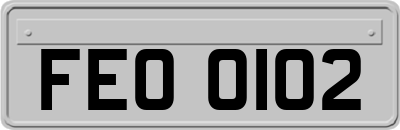 FEO0102