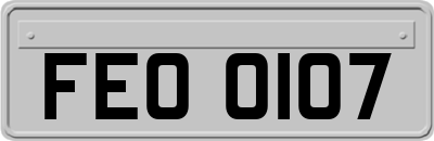 FEO0107