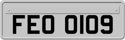 FEO0109