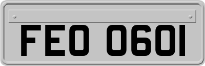 FEO0601