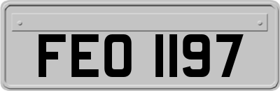 FEO1197