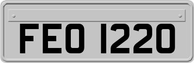 FEO1220