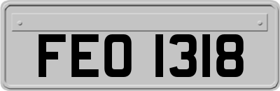 FEO1318