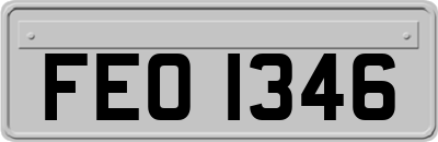 FEO1346