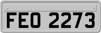 FEO2273