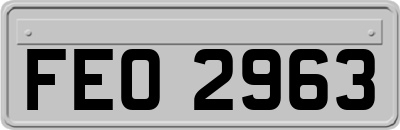FEO2963