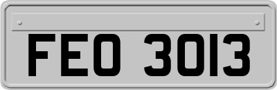 FEO3013