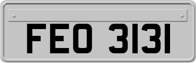 FEO3131