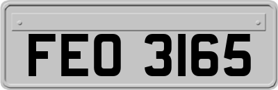 FEO3165