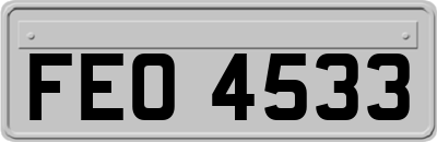 FEO4533